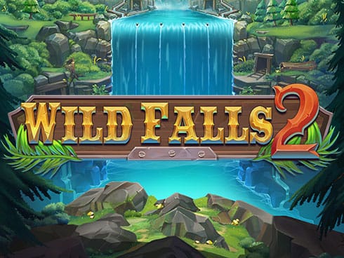 Wild Falls 2 icon