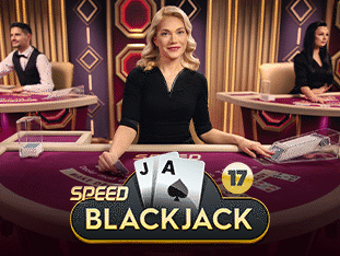 Speed Blackjack 17 icon